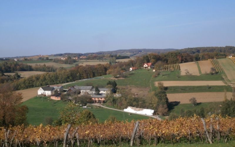 1488362788_mv-neposredna_placila_2.jpg
