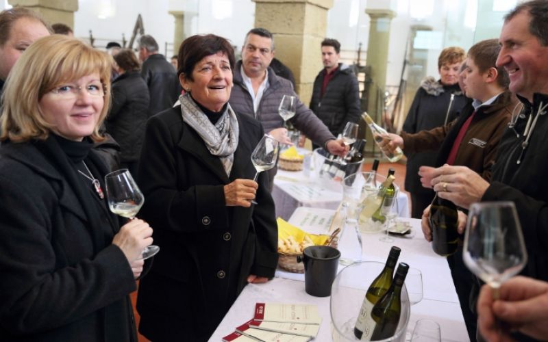 1548682869_cg_mlado_vino_2019_1.jpg