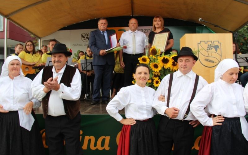 1500721290_mz_praznik_gorisnica.jpg