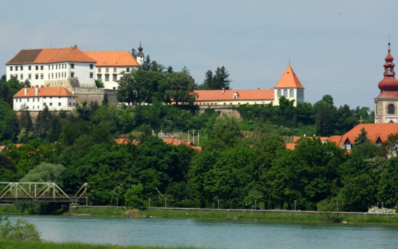 1541518682_cg_drevesa.jpg