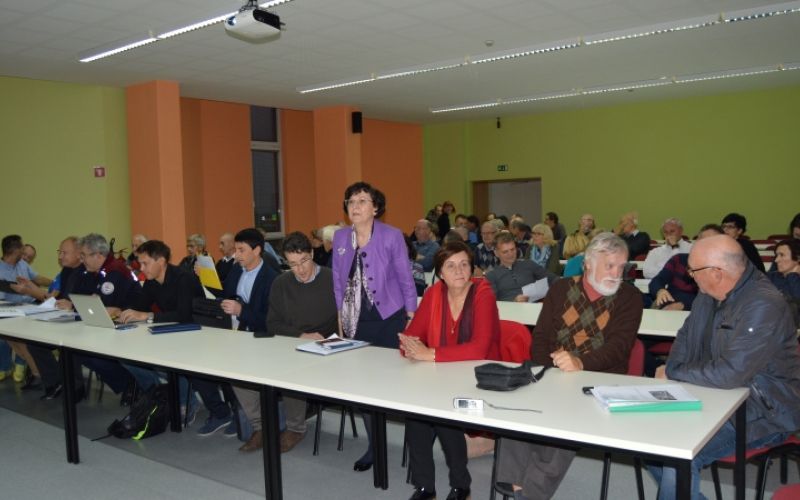 1478183700_dz-cesta1.jpg