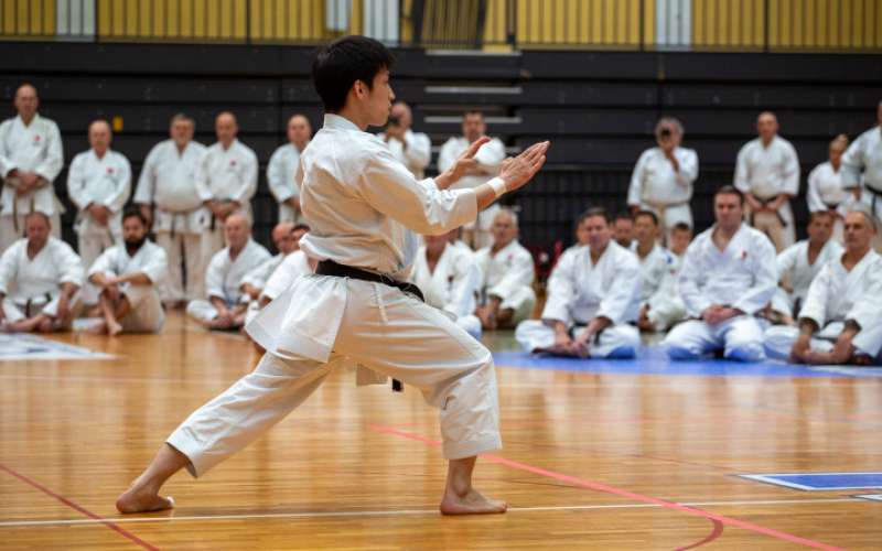 1716547102_shotokan1.jpg