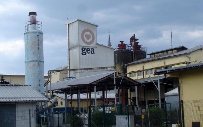 1533374843_mv-gea.jpg