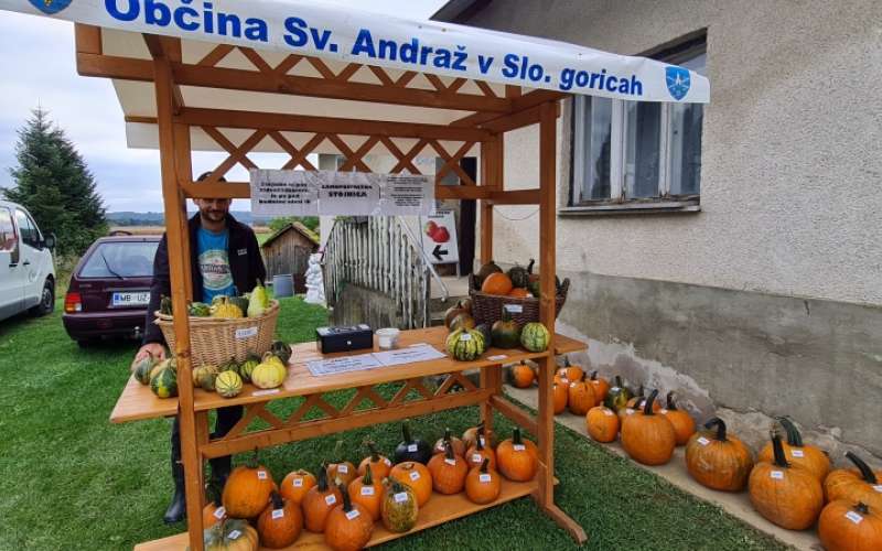 1696184960_sd-stojnica_za_okrasne_buče.jpg