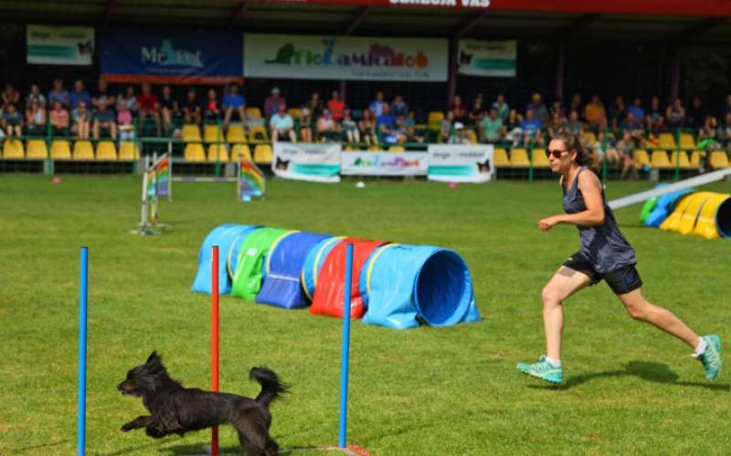 1657818302_cg_agility_1.jpg
