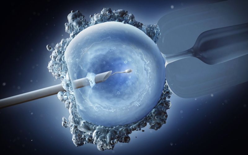 oploditev z biomedicinsko pomočjo