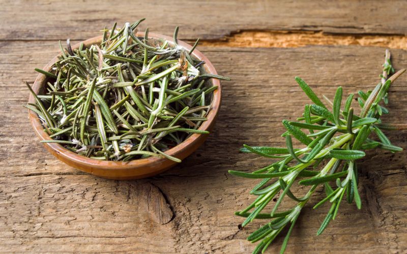 rozmarin, zelisca-na-okenski-polici