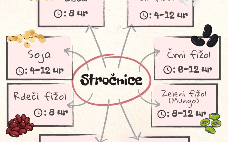 stročnice tabela.jpg