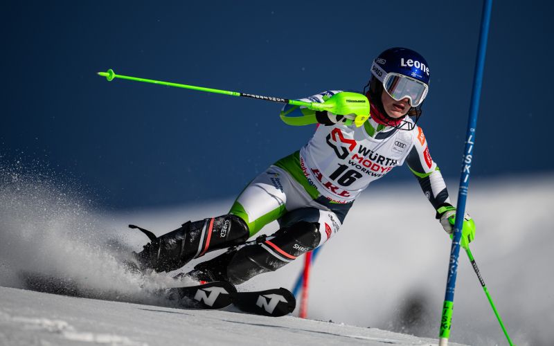 andreja slokar