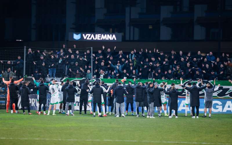 olimpija green dragons.jpg