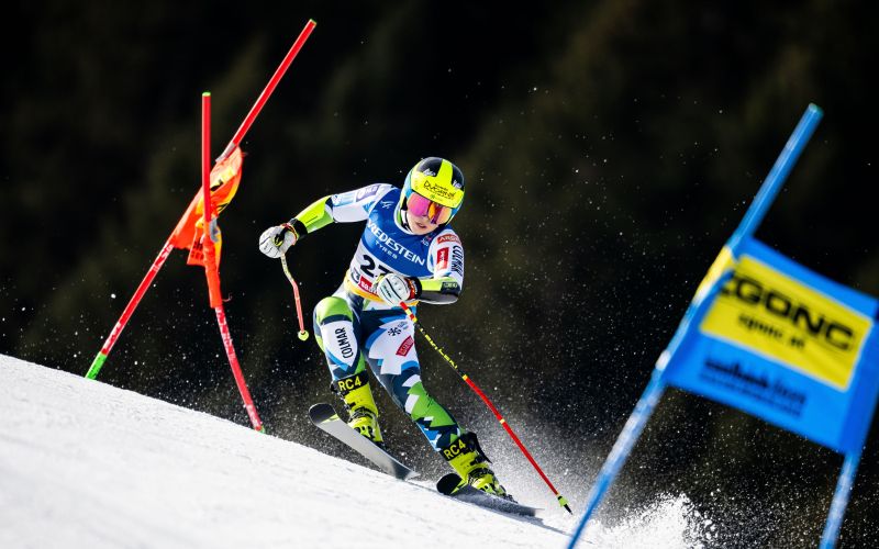 neja dvornik.jpg