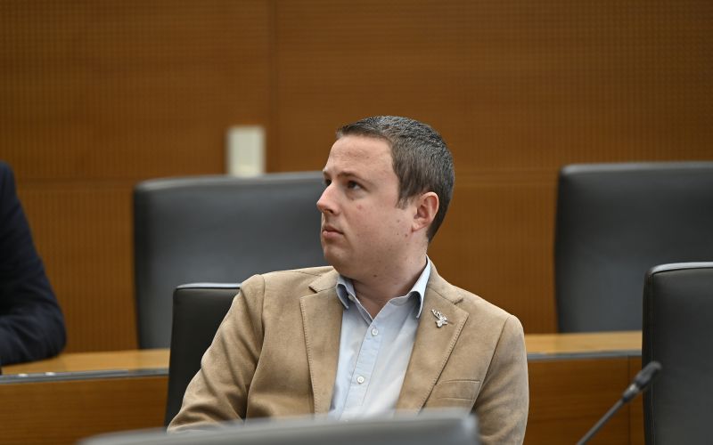 Žan Mahnič