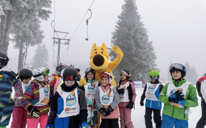 rogla 4.jpg