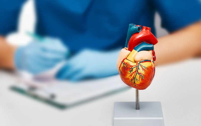 srce, zdravje srca