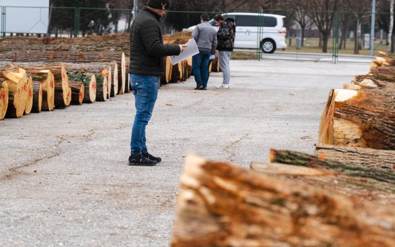 dražba, dražba-lesa, licitacija-lesa, gozdarstvo-gornja-radgona