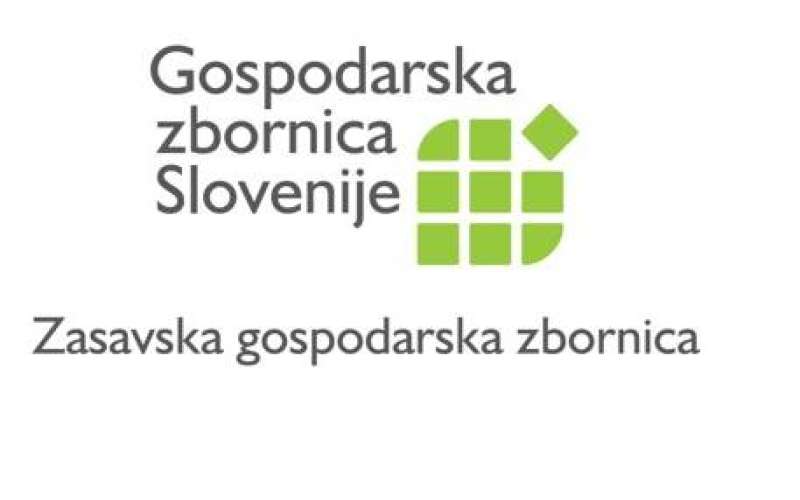 GZS Zasavska logo.jpg