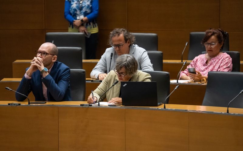 levica, parlament.jpg