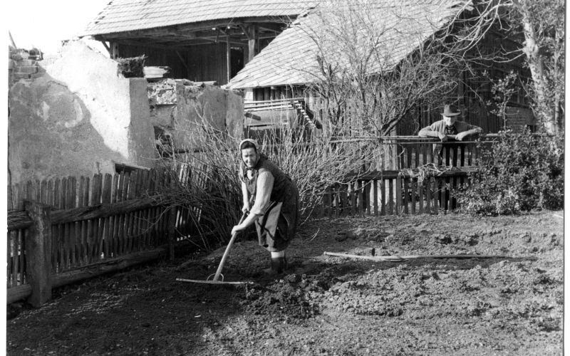 F 13447 Apat_Druzmirje_foto nn.jpg