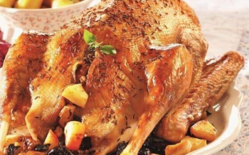 martinova-gos-s-sadjem-in-orehi-A_558x620_acf_cropped-2