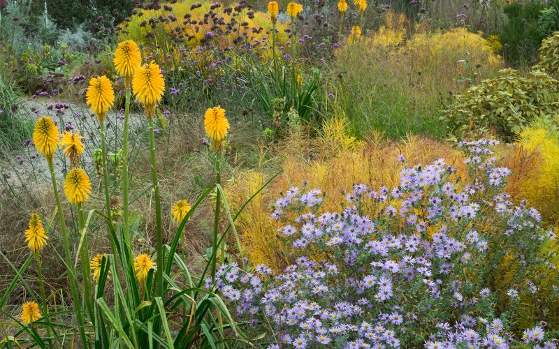 zasaditev s teksturno zanimivimi rastlinami