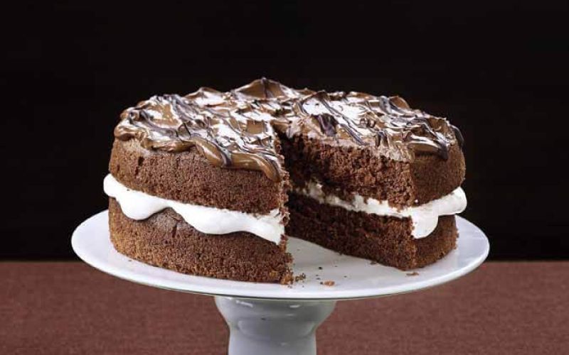 lighty and fluffy chocolate mocha cakedouble choc cardamom pots