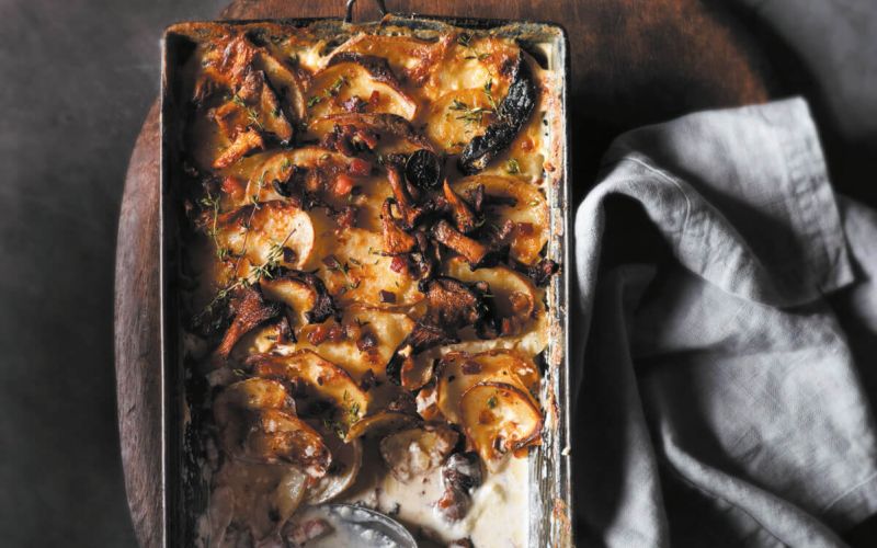 LI2497947@Mushroom Potato P