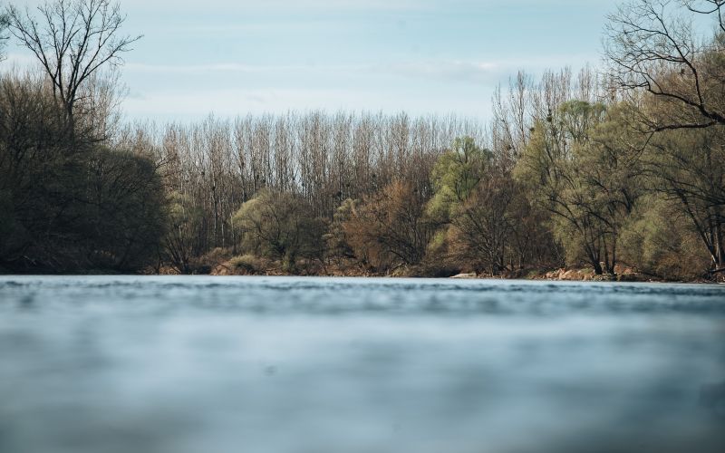 simbolična, reka-mura, voda, brežina, narava, obala