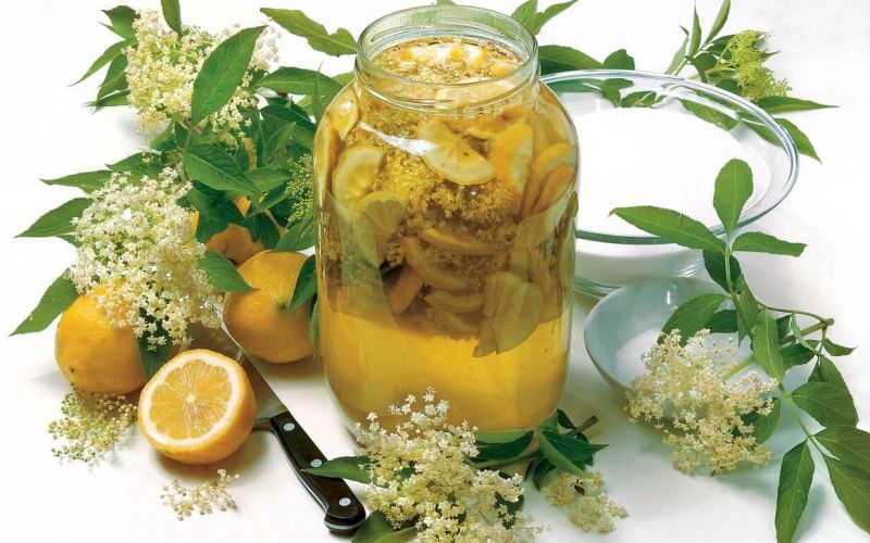 bezgov sirup