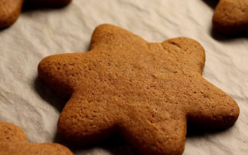 gingerbread-4680738_1920_558x620_acf_cropped