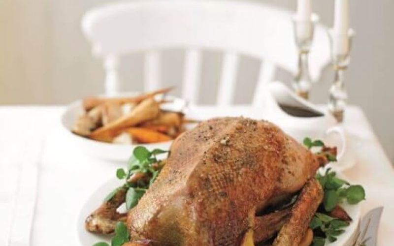 pecena-gos_558x620_acf_cropped