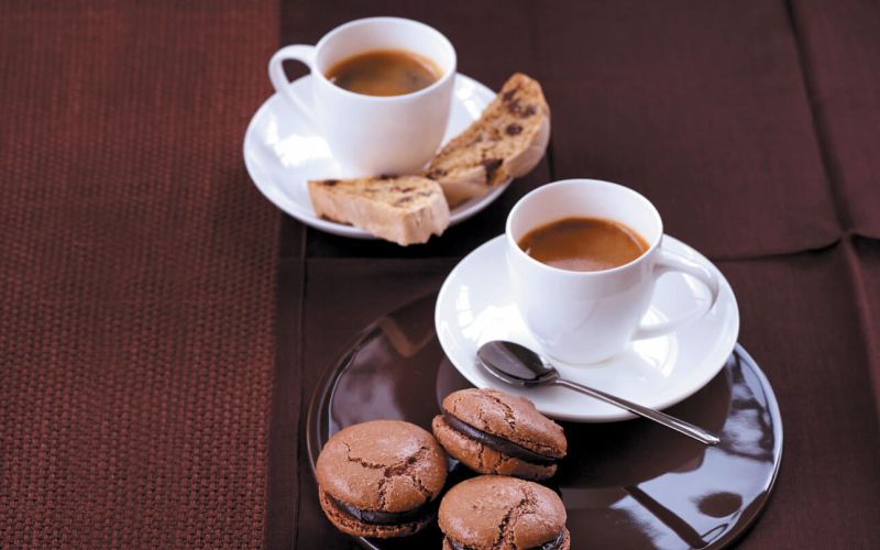 GF 0210 Lo fat chocolate indulgence