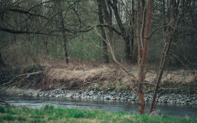 simbolična, reka-mura, voda, brežina, narava, obala