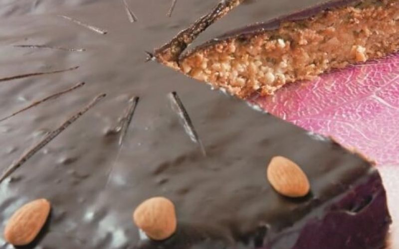 torta-marijana-cokoladna-1_558x620_acf_cropped