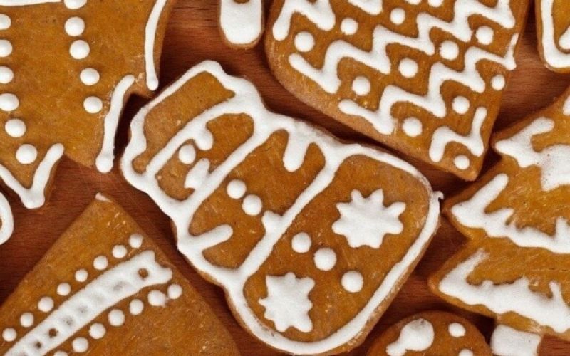 biscuit-83807_1280_558x620_acf_cropped