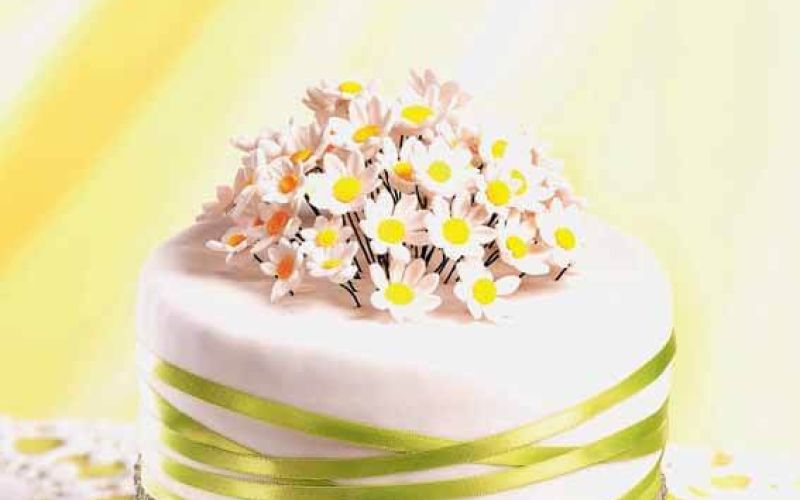 pomladna torta A