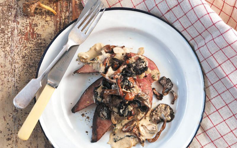 GFO_1012_CC_LiverWildMushrooms_0328