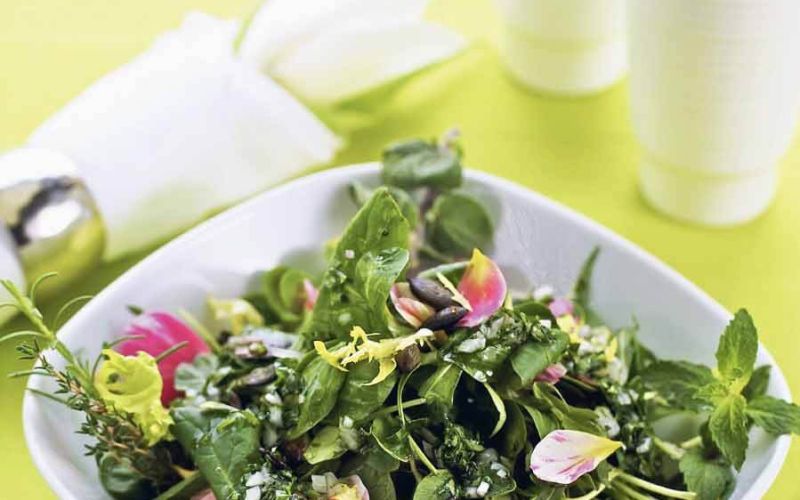 WildkraÌutersalat