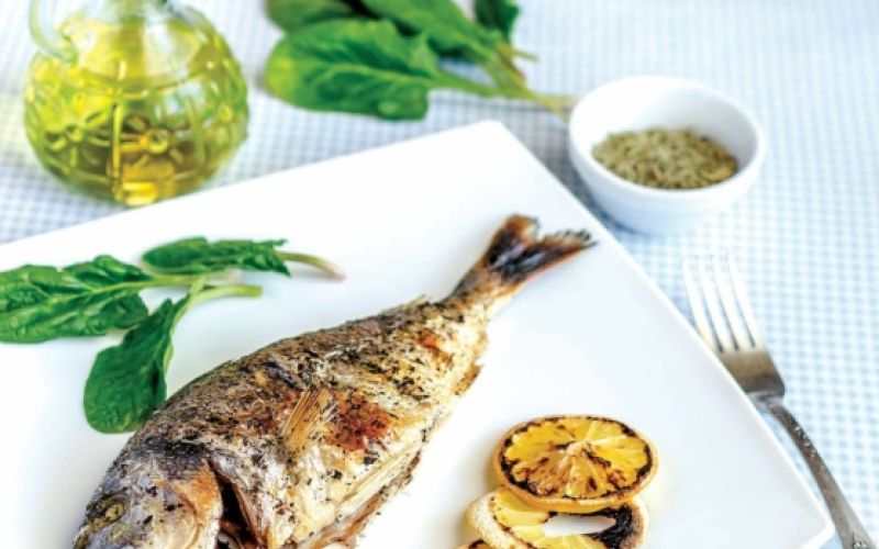 orada-na-zaru_558x620_acf_cropped-1