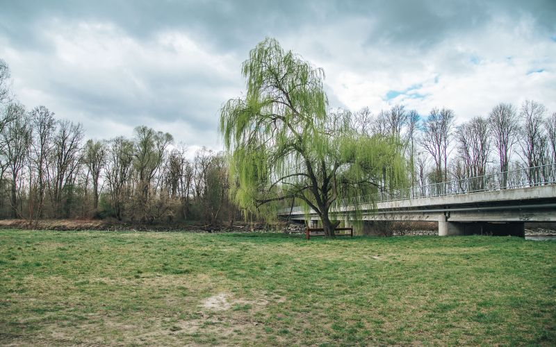 simbolična, reka-mura, voda, brežina, narava, obala