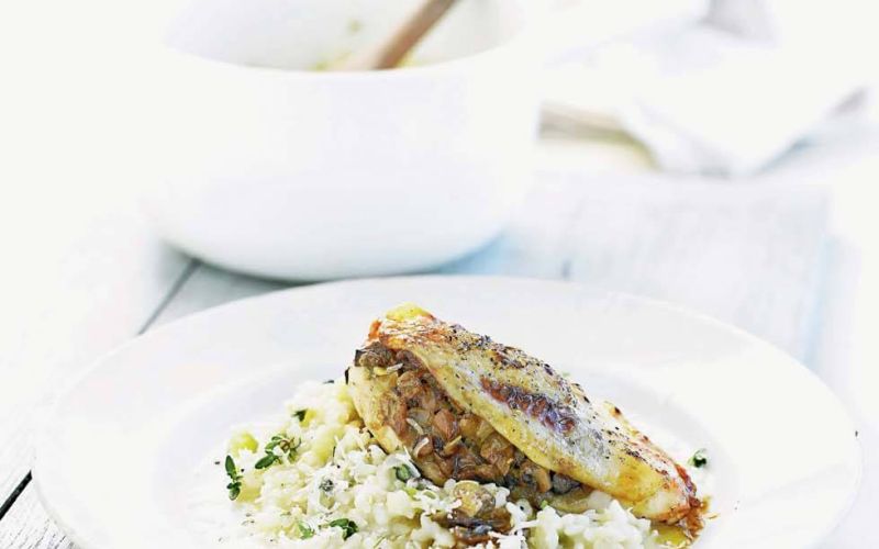 mushroom stuffed chicken with lemon thyme risotto