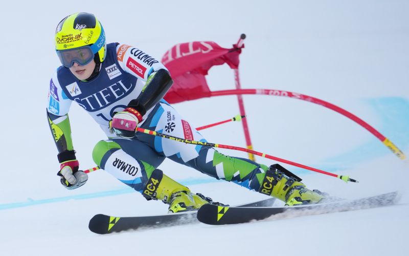 NEJA DVORNIK