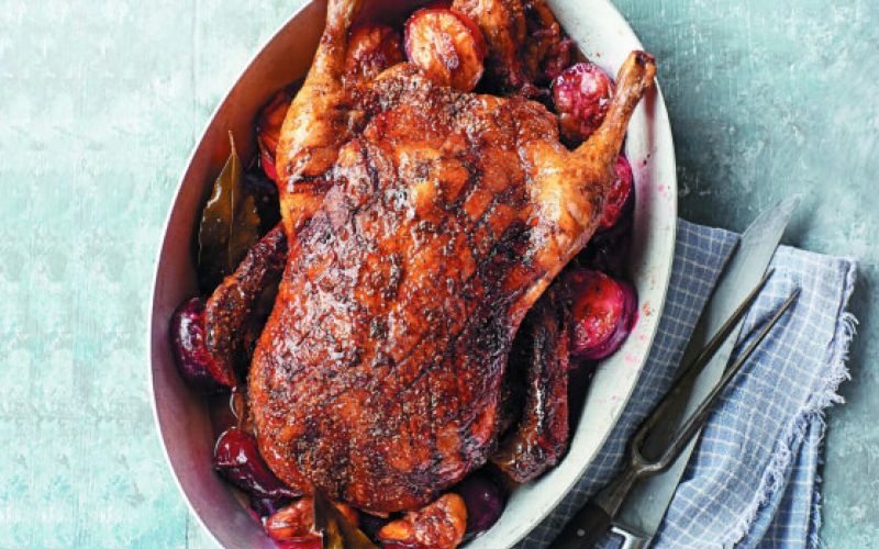 LI3976954@GFO1017-Glazed_du-scaled_558x620_acf_cropped