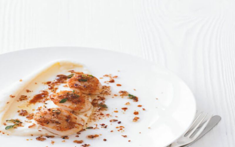 LI1828529@GFO_1112_Scallop_-1_558x620_acf_cropped-1