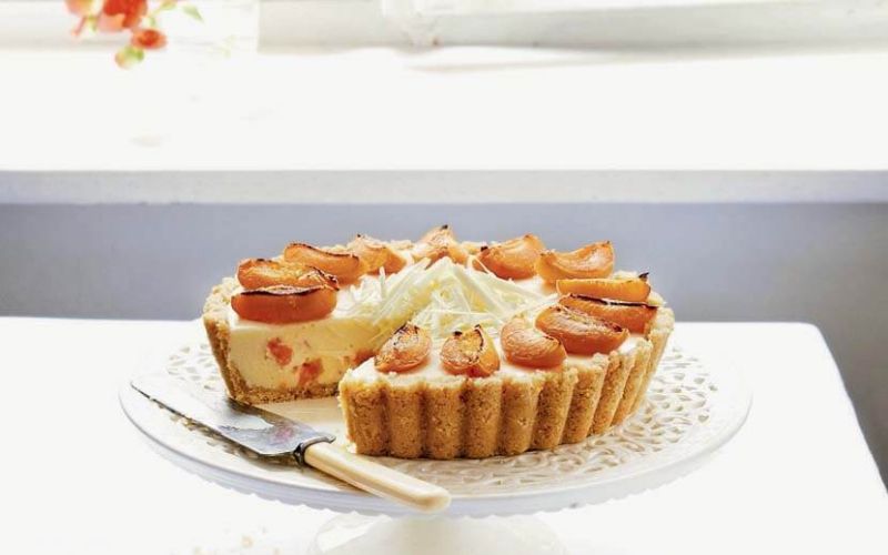 warm chocolate and apricot cheesecake