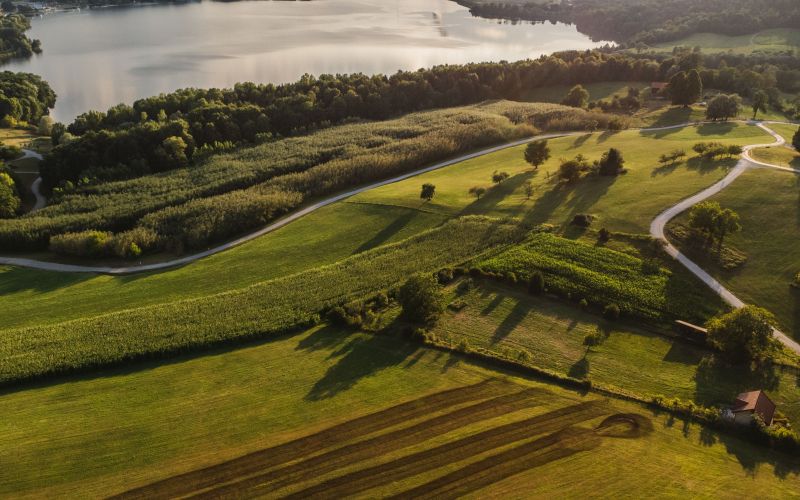 Videtic Aljosa Velenje 126.jpg