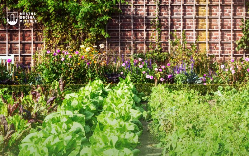 Oglas - vrtički, april 2025.jpg