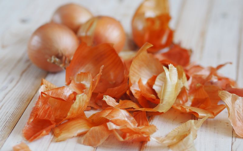 Čebulni olupki_Shutterstock.jpg