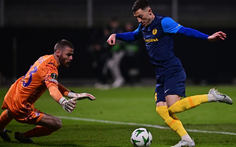 de gea celje.jpeg