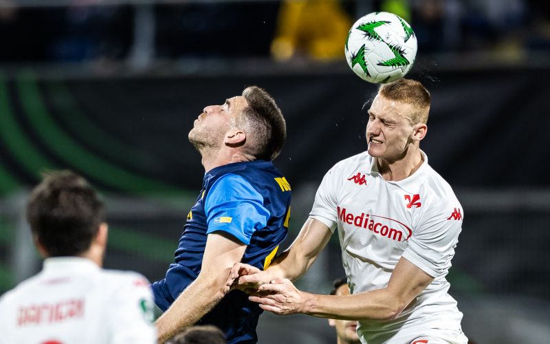 damjan vuklisevic.jpg