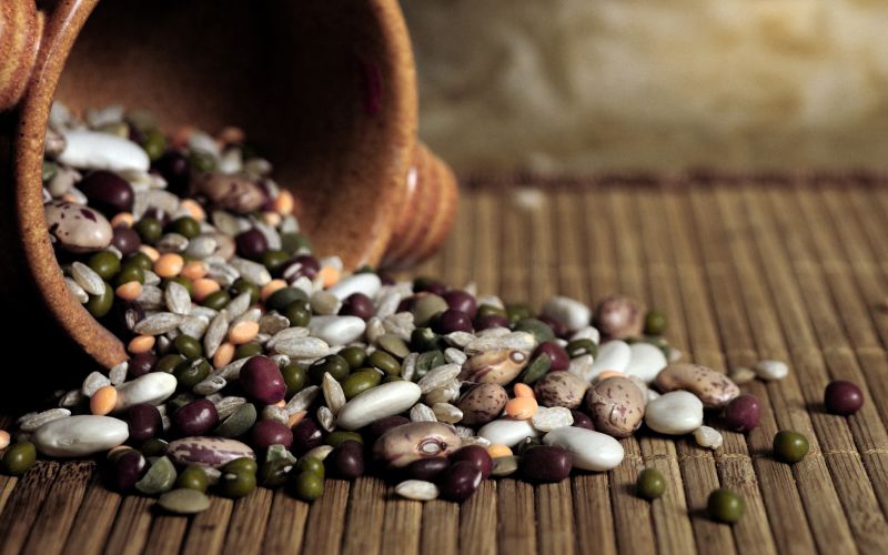 ZR apr 19 - zelenjavni vrt naslovna.jpg